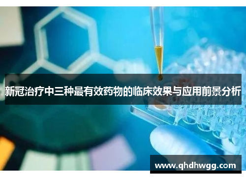 新冠治疗中三种最有效药物的临床效果与应用前景分析