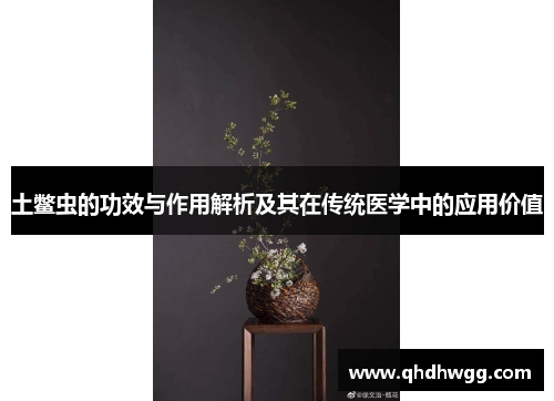 土鳖虫的功效与作用解析及其在传统医学中的应用价值