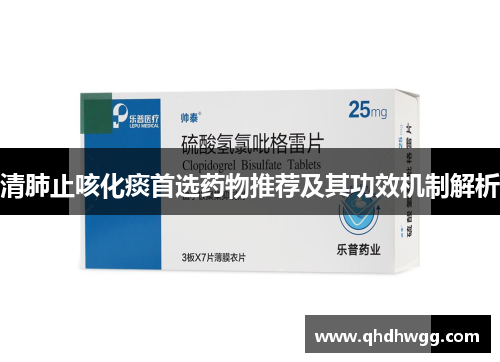 清肺止咳化痰首选药物推荐及其功效机制解析